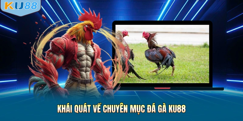 Khái quát về chuyên mục đá gà KU88